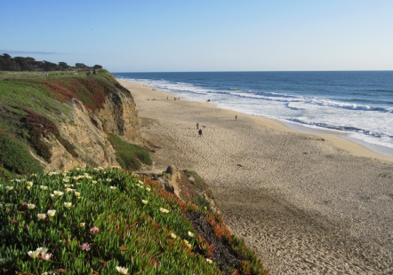 Half Moon Bay Poplar Beach The Best Beaches In World Ala Golden Gate Meeting Event Information Half Moon Bay Beaches